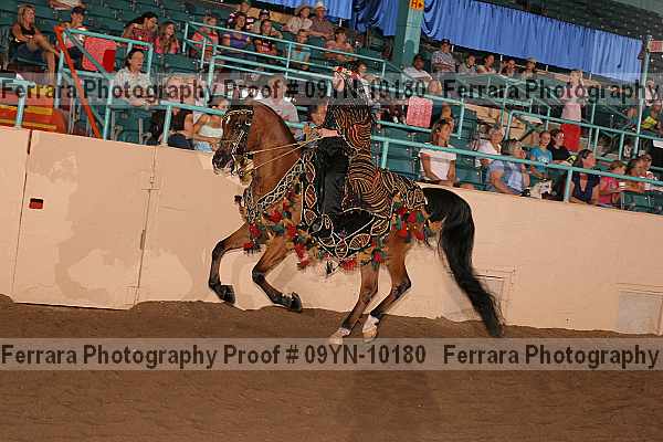 Proof 09yn-10180