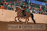 09yn-10180 proof