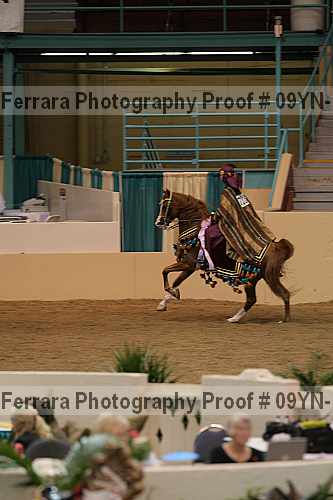 Proof 09yn-10203
