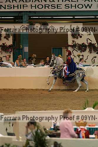 Proof 09yn-10208