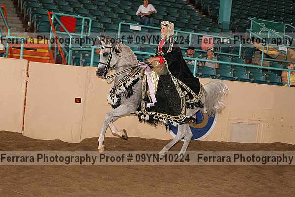 Proof 09yn-10224