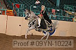 09yn-10224 proof