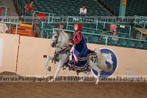 Proof 09yn-10225