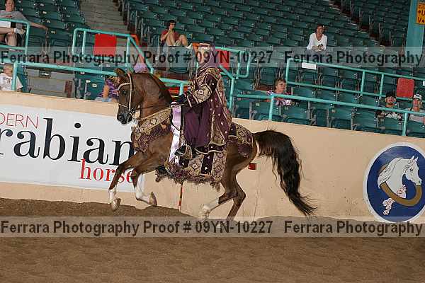 Proof 09yn-10227