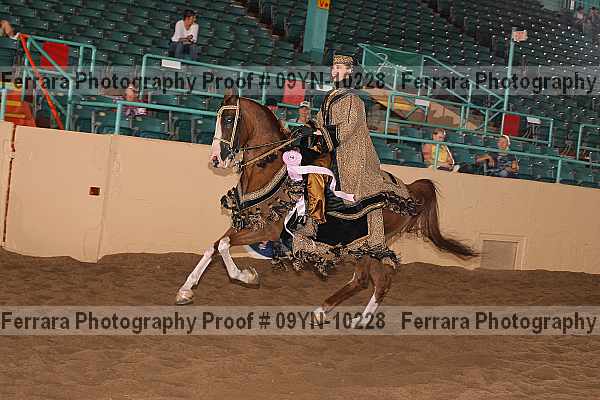 Proof 09yn-10228