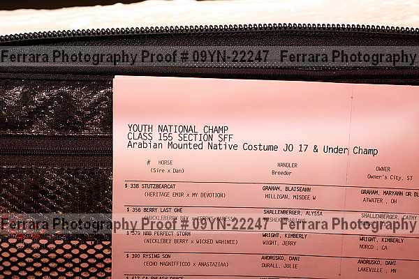 Proof 09yn-22247