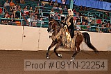 09yn-22254 proof