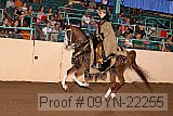 09yn-22255 proof