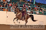 09yn-22256 proof