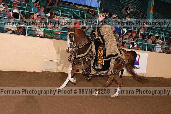 Proof 09yn-22258