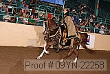 09yn-22258 proof