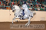09yn-22260 proof