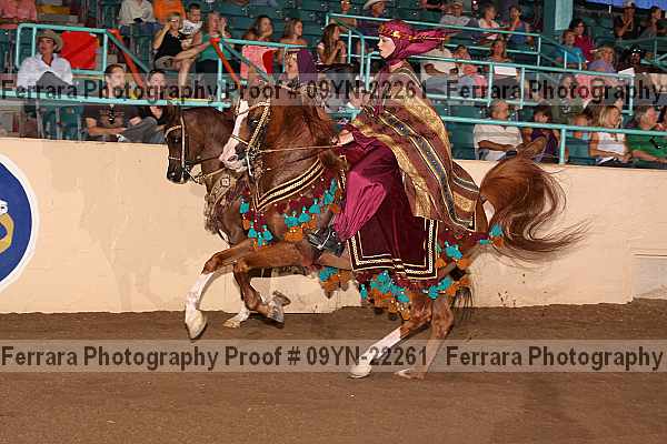 Proof 09yn-22261