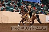 09yn-22262 proof