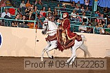 09yn-22263 proof