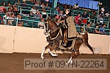 09yn-22264 proof