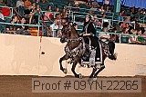 09yn-22265 proof