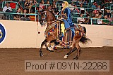 09yn-22266 proof