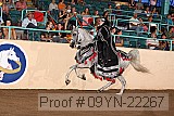09yn-22267 proof