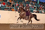 09yn-22268 proof