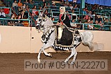09yn-22270 proof
