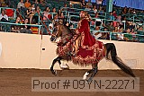09yn-22271 proof
