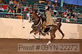 09yn-22272 proof
