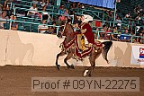 09yn-22275 proof