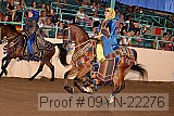 09yn-22276 proof