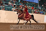 09yn-22279 proof