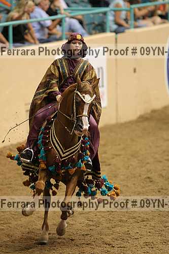 Proof 09yn-22282