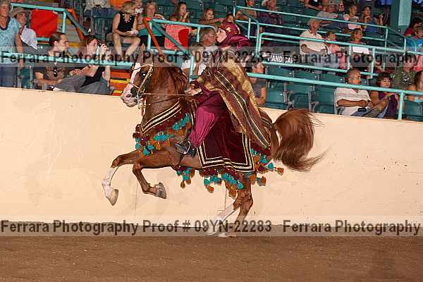 Proof 09yn-22283