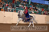 09yn-22287 proof