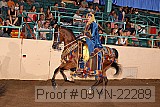 09yn-22289 proof