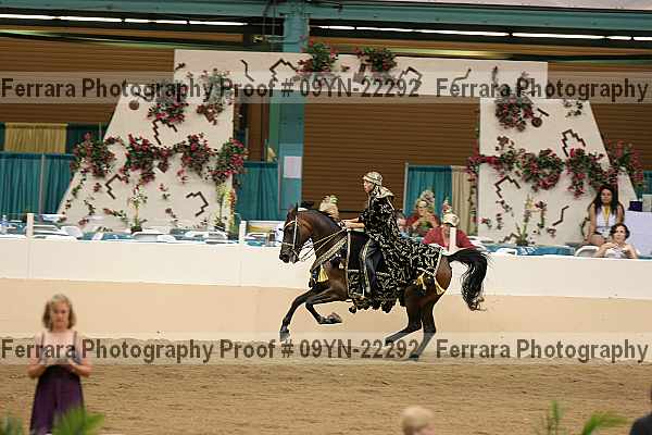 Proof 09yn-22292