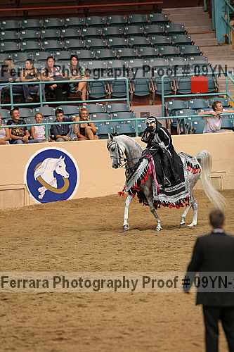 Proof 09yn-22319