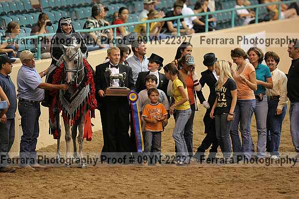 Proof 09yn-22327
