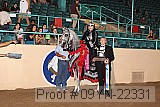 09yn-22331 proof