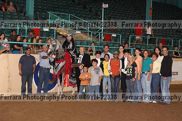 Proof 09yn-22338