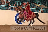 09yn-22351 proof