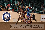 09yn-22352 proof