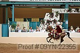 09yn-22355 proof