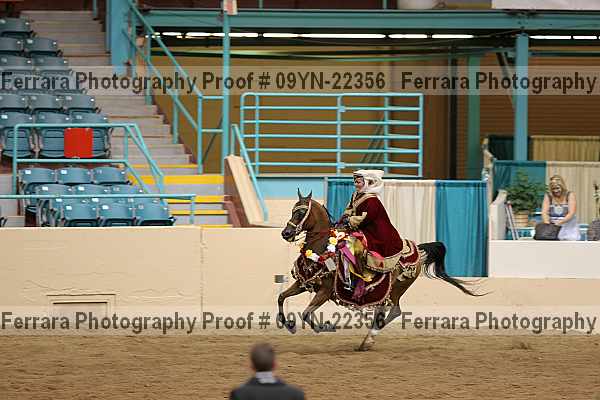 Proof 09yn-22356