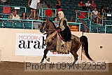 09yn-22358 proof