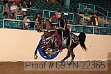 09yn-22365 proof