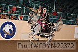 09yn-22372 proof
