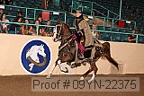 09yn-22375 proof