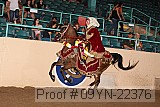 09yn-22376 proof