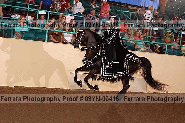 Proof 09yn-05416