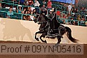 09yn-05416 proof